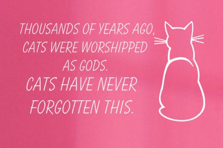 Funny Saying for the Kitty Room - Vinyl Wall Decal - Painted Appearance
