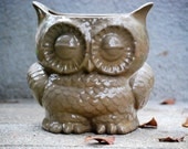 Large Owl  planter utensil holder natural brown