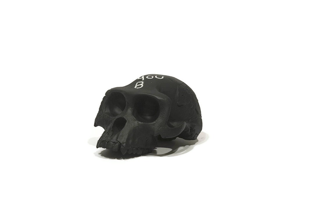 Ardi chalkboard skull