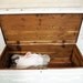 Painted Cottage Chic Shabby White Romantic Hope Chest VF295