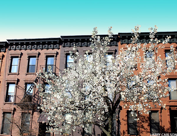 Brownstone.Blossoms...16x20" matted fine art giclee print / photography