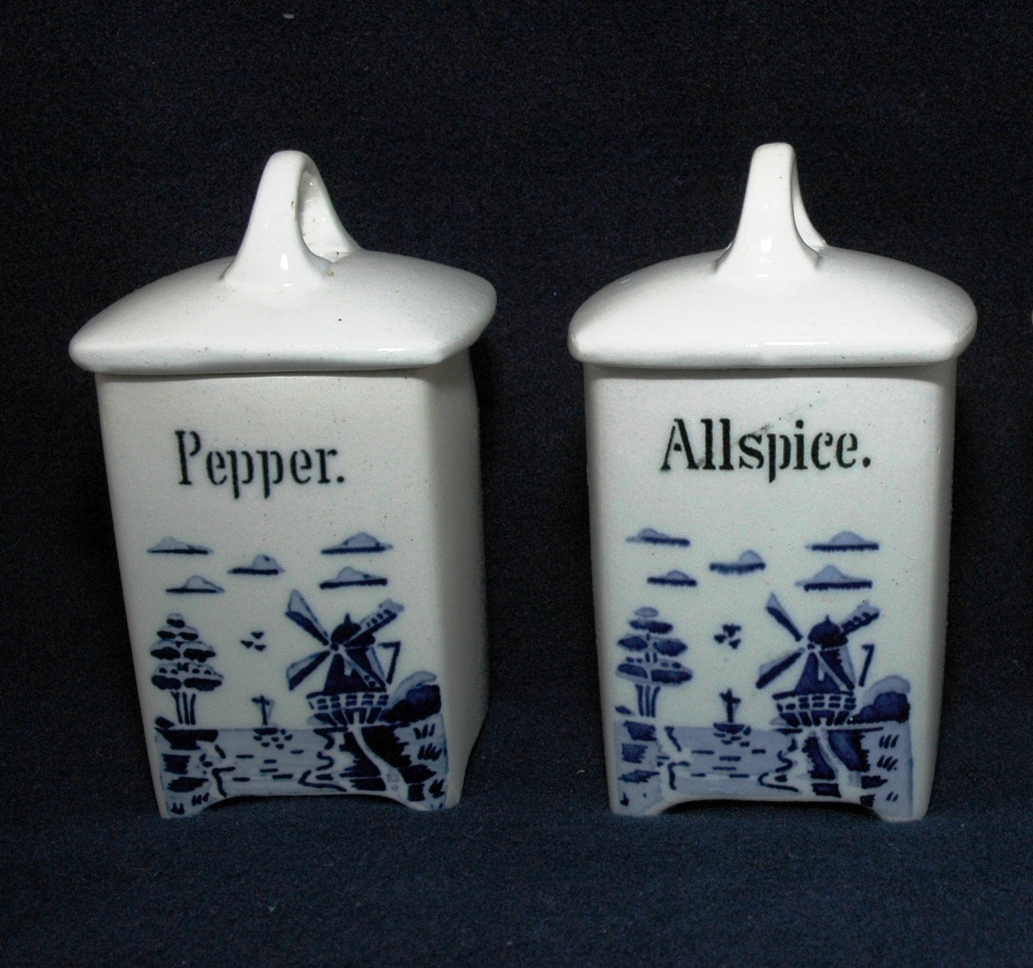 Vintage German Ceramic Spice Jar Set Pepper by MyHeirloomCharms
