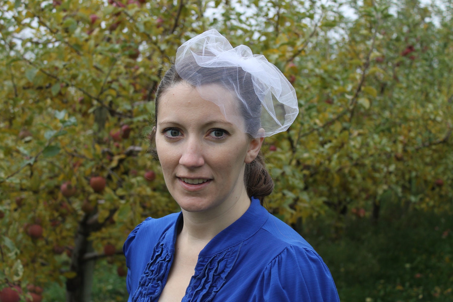 6 Inch Birdcage Fascinator
