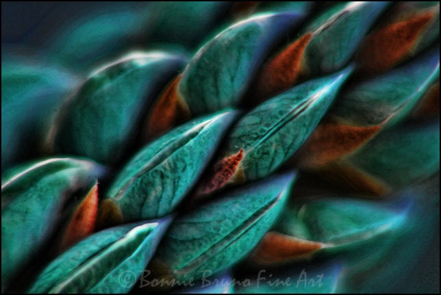 Nature Photograph Teal Lupine Macro Print digitally painted - bbrunophotography