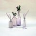 Vintage Amethyst Bottle Collection / Lavender Sun Glass Bottle Collection