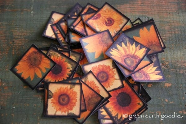50 Eco Friendly Stickers: Sunflower Stickers, sunflower envelope seals, vintage viewfinder stickers, yellow, orange 1.5" squares, 1 1/2 inch