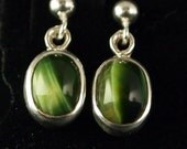 Sterling Silver and Green Tiger Eye  Drop Earrings