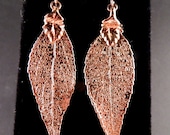 Earrings of Copper Dipped Real Laurel Leaves