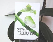 Three Buffalo Treehopper Postcards, gardening quotation on back, 4 in x 6 in, silky smooth cardstock