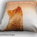 Cushion Pillow Cover Fox Autumn Orange Tawny Brown Cotton Vibrant Home Decor