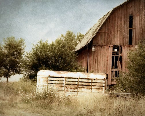 Country Barn Photograph red old rustic animal white farm abandoned wood western