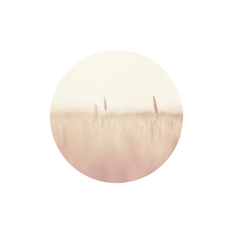 Bright, sunny day on a field / soft pastel round photograph / fine art print / by Kitoki - 12x12