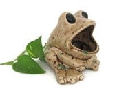 Sponge Holder - Ceramic Frog