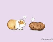 Pleased to meet you - Guinea pig with potato 5x7 guinea pig art print