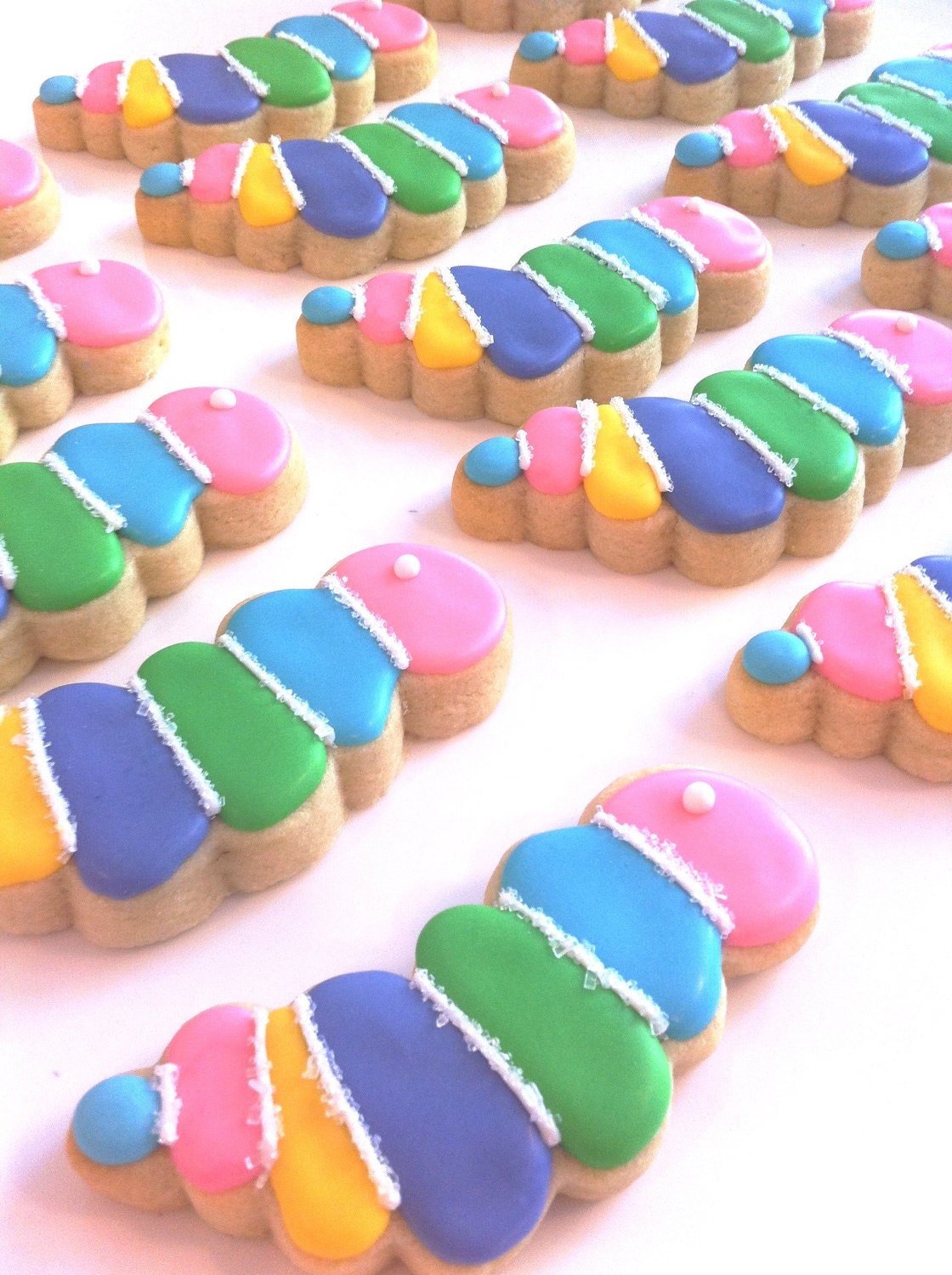Rainbow Caterpillar Cookies (2 dozen)