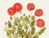 Red Poppies Print 8"x10" - Flower Wall Art, Botanical Artwork, Poppy Art