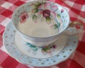 Antique Vintage Hand Painted Shafford Bone China Cup and Saucer