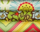 Heather Bailey Fabric Bundle, Pop Garden, Full Yard Set, 3 Yards Total