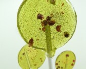Pear with star anise pink peppercorn - lollipop