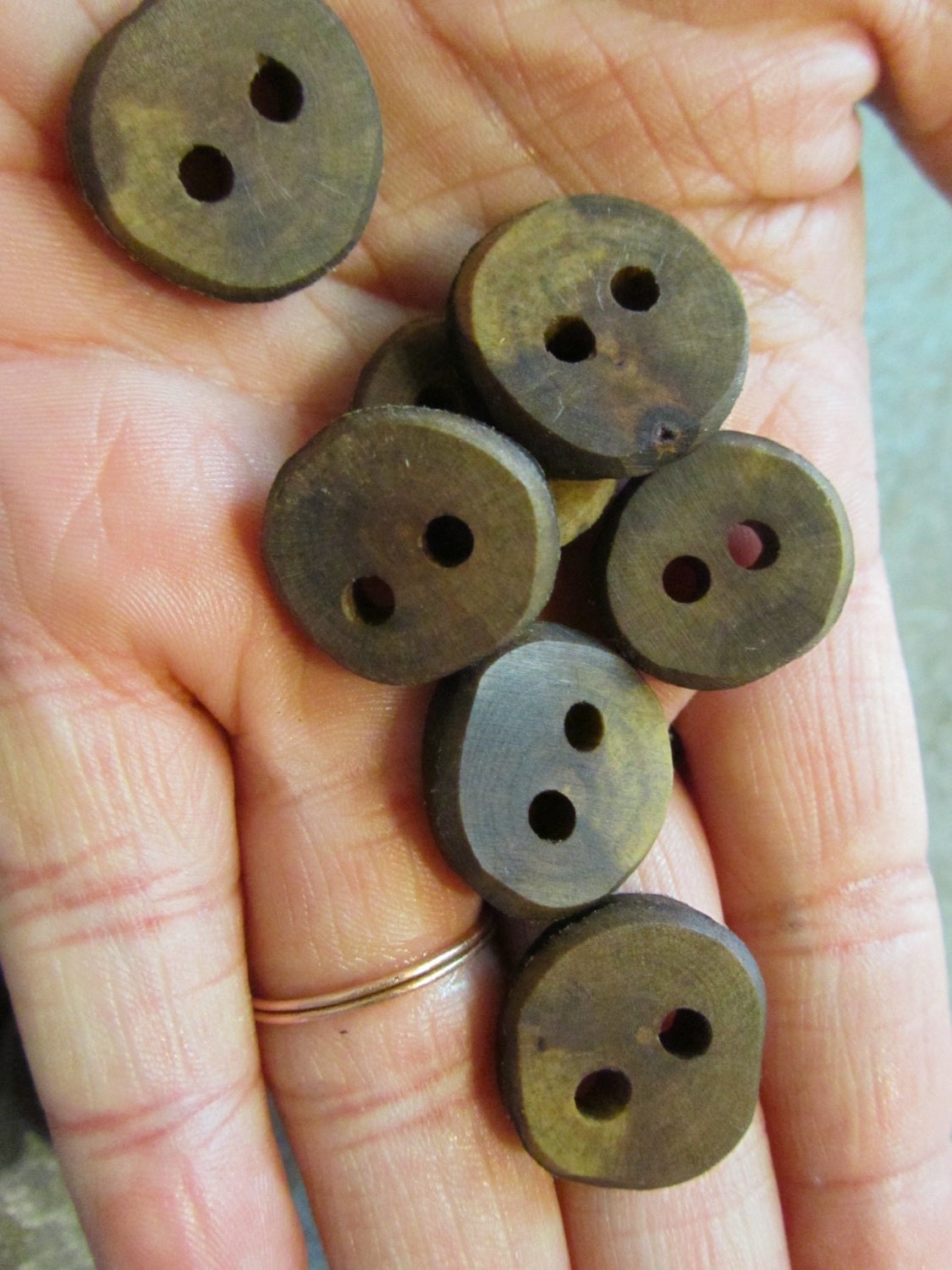 14 No Bark, No Bite Pear Wood Buttons.  .75 Inches Wide