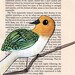 retro bird art - Look back bird- burnt orange, kelly green, white feathers on a bent tree limb - retro 1970s illustration style
