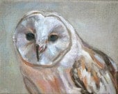 Barn Owl Painting, bird painting, 8x10 inch original oil by Carol DeMumbrum