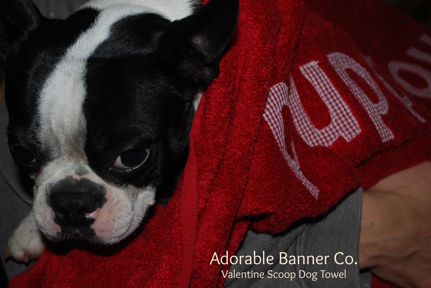 Puppy Love Scoop Dog Towel, personalized for pets.  Valentine Gift. Scoop design keeps doggy legs inside.
