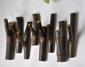 Rustic Wooden Hooks. . . set of 8