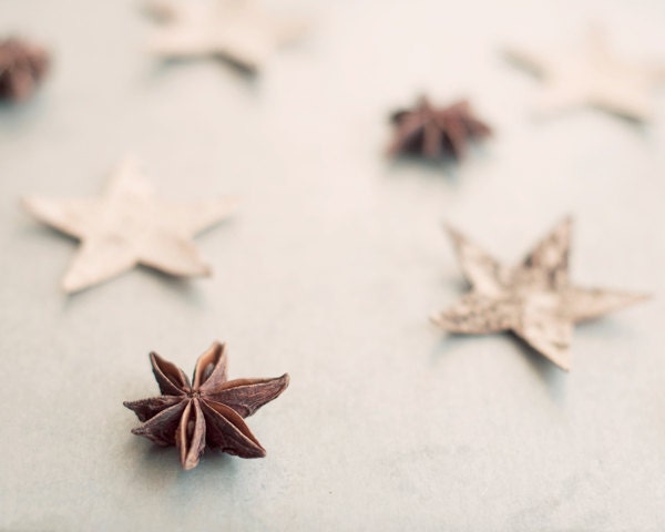 Food photography star anise print -  rustic home decor - christmas holiday photo modern dreamy whimsical brown silver white - photographybykarina