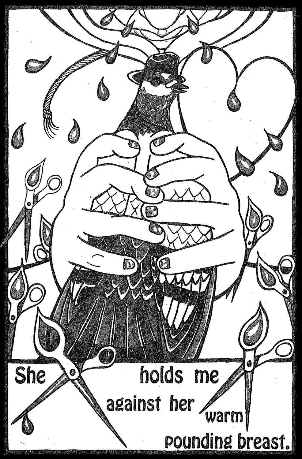 The Birdwisher (an illustrated novella by Anna Joy Springer)