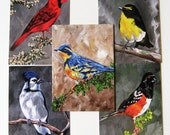 Bird Postcards (set of 5)