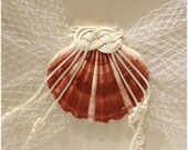 Beach Wedding Guest Book, Ivory with shell, Destination Wedding, Shell