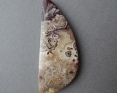 Cabochon - Crazy lace agate - 58 by 24 by 6 mm