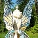 Natural Fairy Wings Wedding Halloween Costume Faerie Reenactment Fantasy Renaissance Custom Cellophane