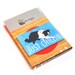 Border Collie Magnet Four Pack - Dog Magnet Gift Set