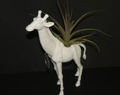 White Giraffe planter with air plant for nursery or baby shower.