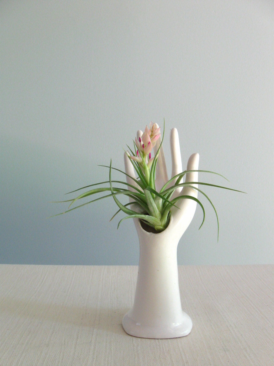 vintage white porcelain hand vase / ring holder ... made in Japan