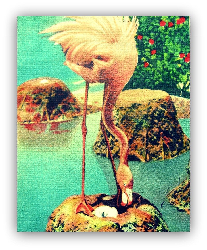 animal photography PINK FLAMINGO beach art photo 1940s kids room nursery 11x14 print vintage Florida bird Large Wall Art tropical decor
