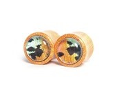 9/16" Custom Butterfly Wing Plugs