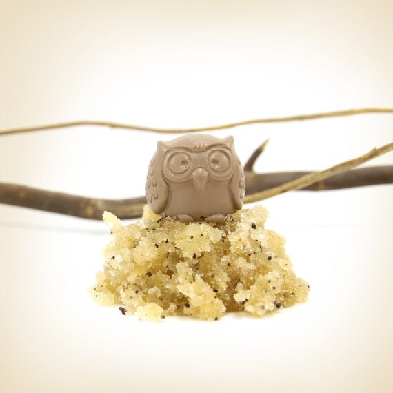 Bootyluscious Cellulite Buster Body Scrub