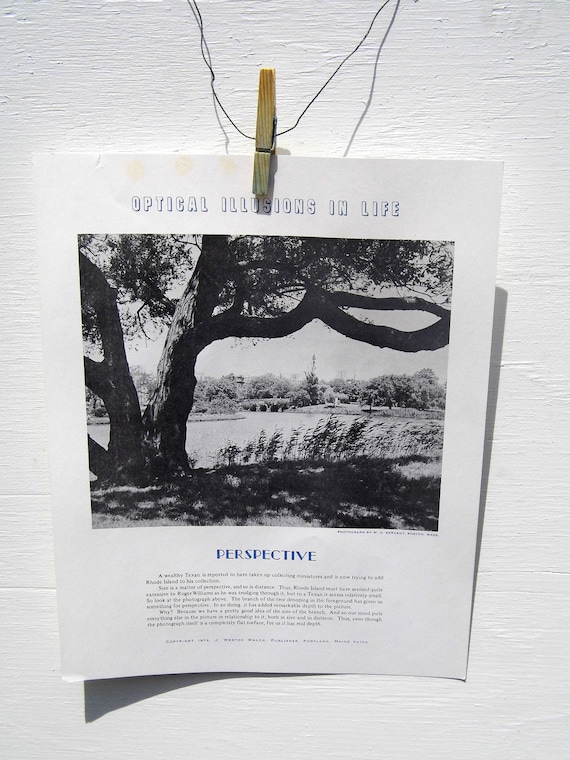Vintage Paper Ephemera, Black and White Poster, Nature Poster, Optical Illusions In Life, Vintage Poster, 1970s