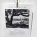 Vintage Paper Ephemera, Black and White Poster, Nature Poster, Optical Illusions In Life, Vintage Poster, 1970s
