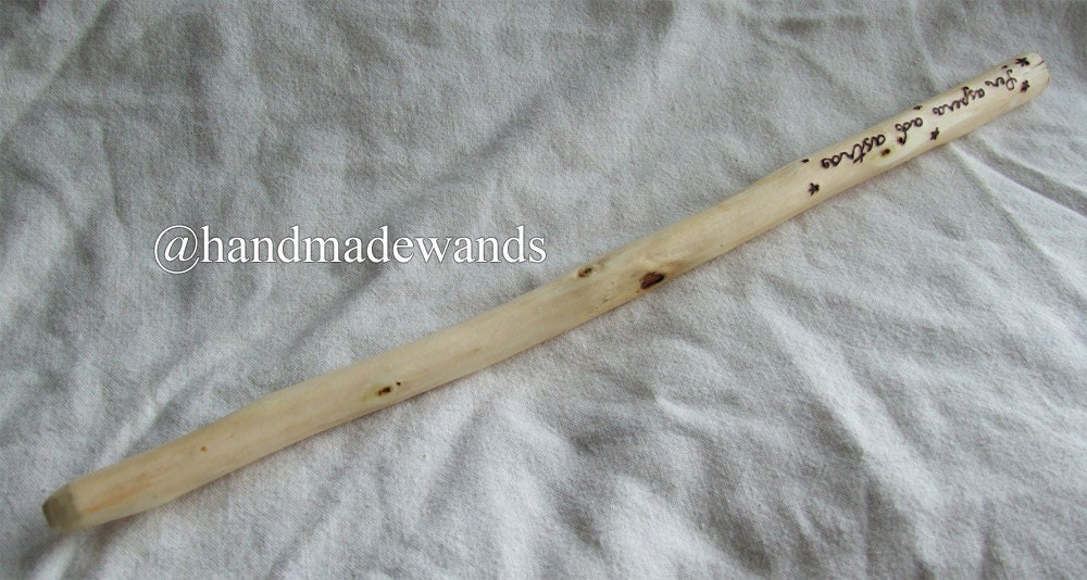 Lombardy Poplar Wand 06 (315 mm)