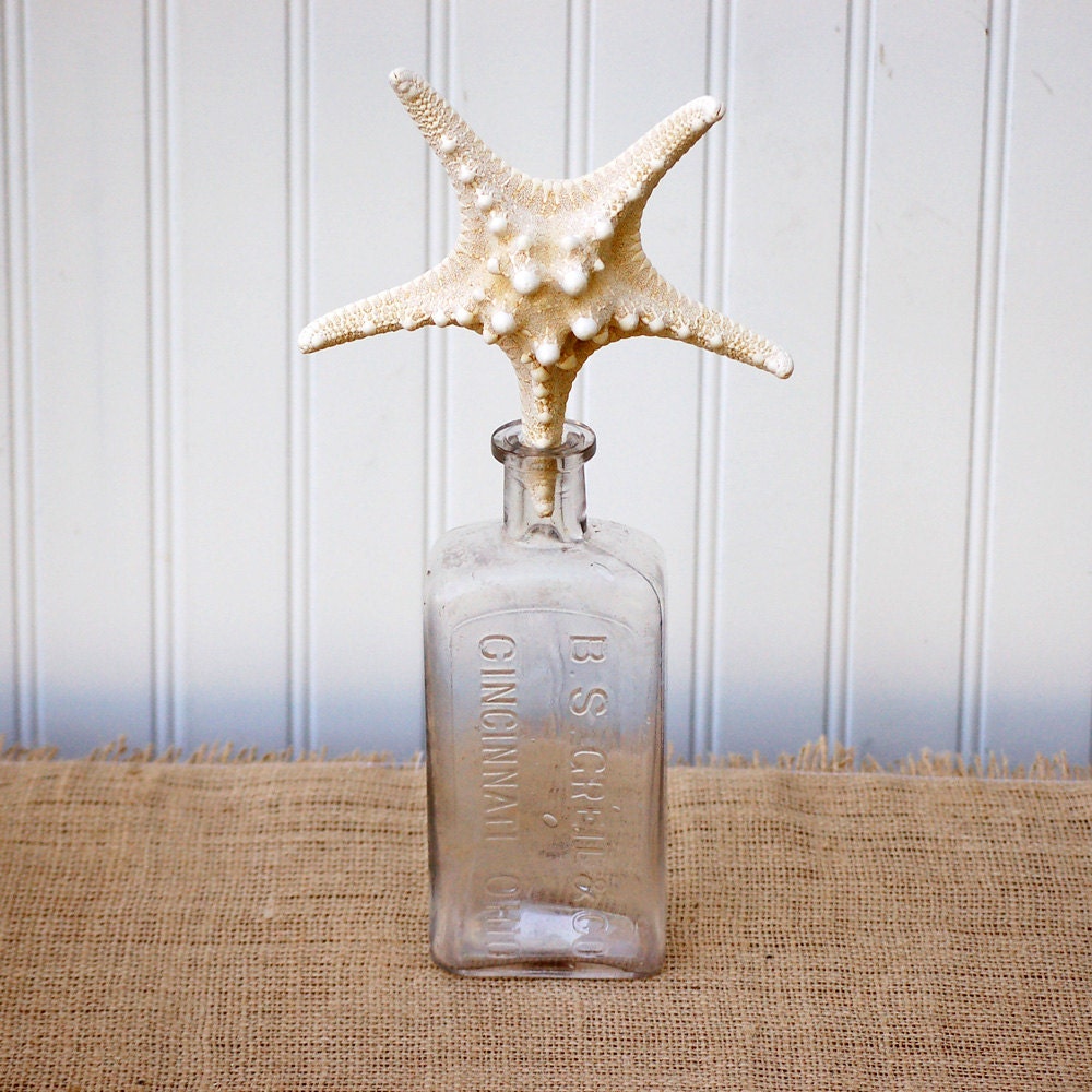 Large Vintage Apothecary Bottle and Starfish Specimen