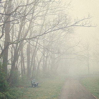 Fog Photograph - Dreamy and Vintage Inspired - Home Decor - Fine Art Photograph 8x8 - "FOG"