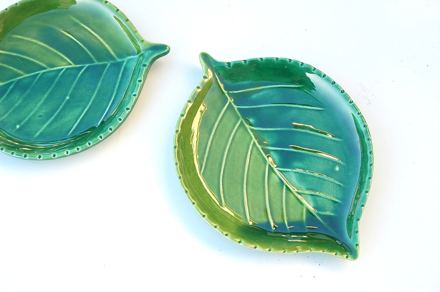 Green leaf dishes for outdoor garden party