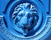 Blue Home Decor - Door in Paris Photograph - French Blue Lion - 8x10 Photo - Colorful Wall Art -  Vibrant Print - Regal Cat