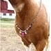 Rhythm Beaded Necklace for Your Horse UNIQUE