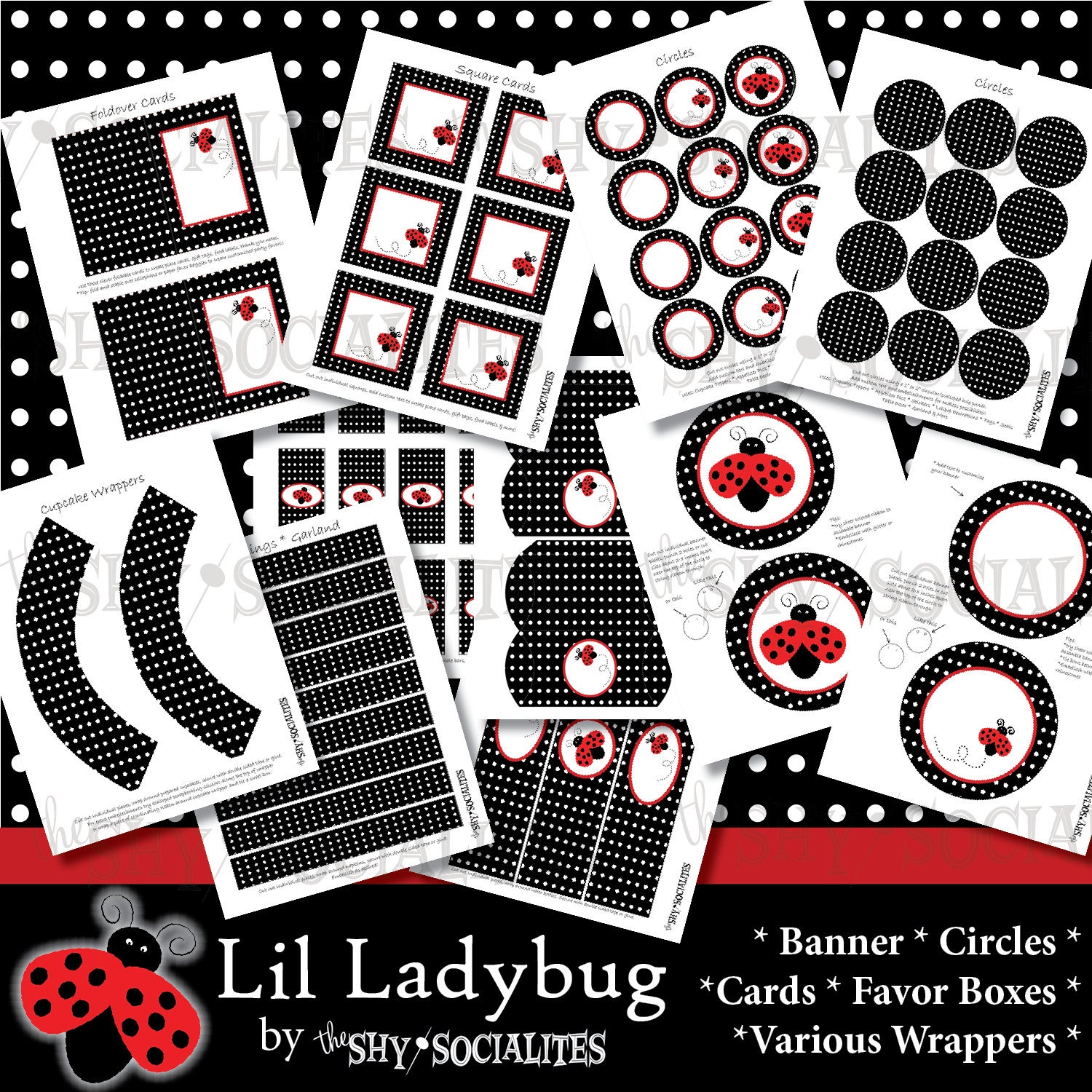 Lil Ladybug Party Kit