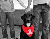 I'm the Big Brother or I'm the Big Sister Embroidered Dog Bandana with Custom Options--can also do for little brothers or little sisters